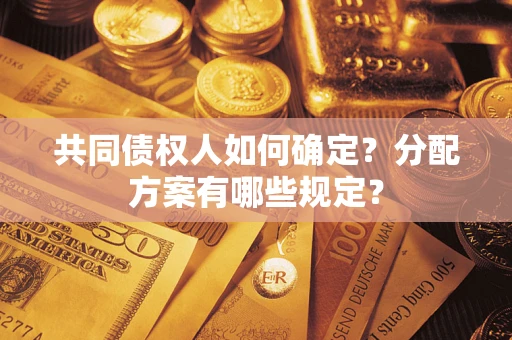 武汉共同债权人如何确定？分配方案有哪些规定？
