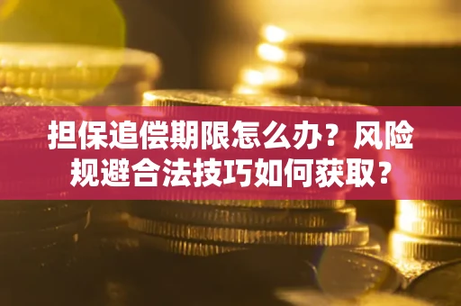 武汉担保追偿期限怎么办？风险规避合法技巧如何获取？