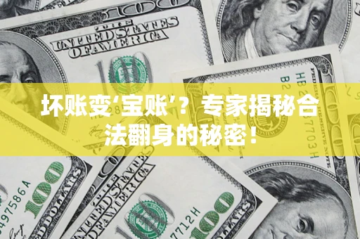 武汉坏账变‘宝账’？专家揭秘合法翻身的秘密！