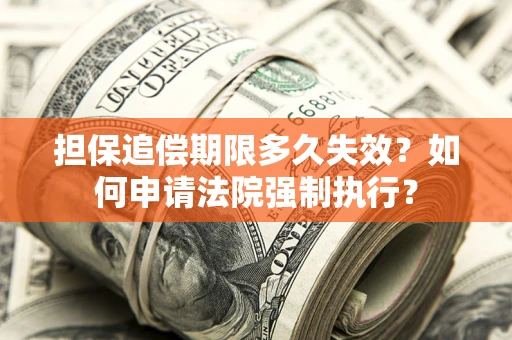 武汉担保追偿期限多久失效？如何申请法院强制执行？